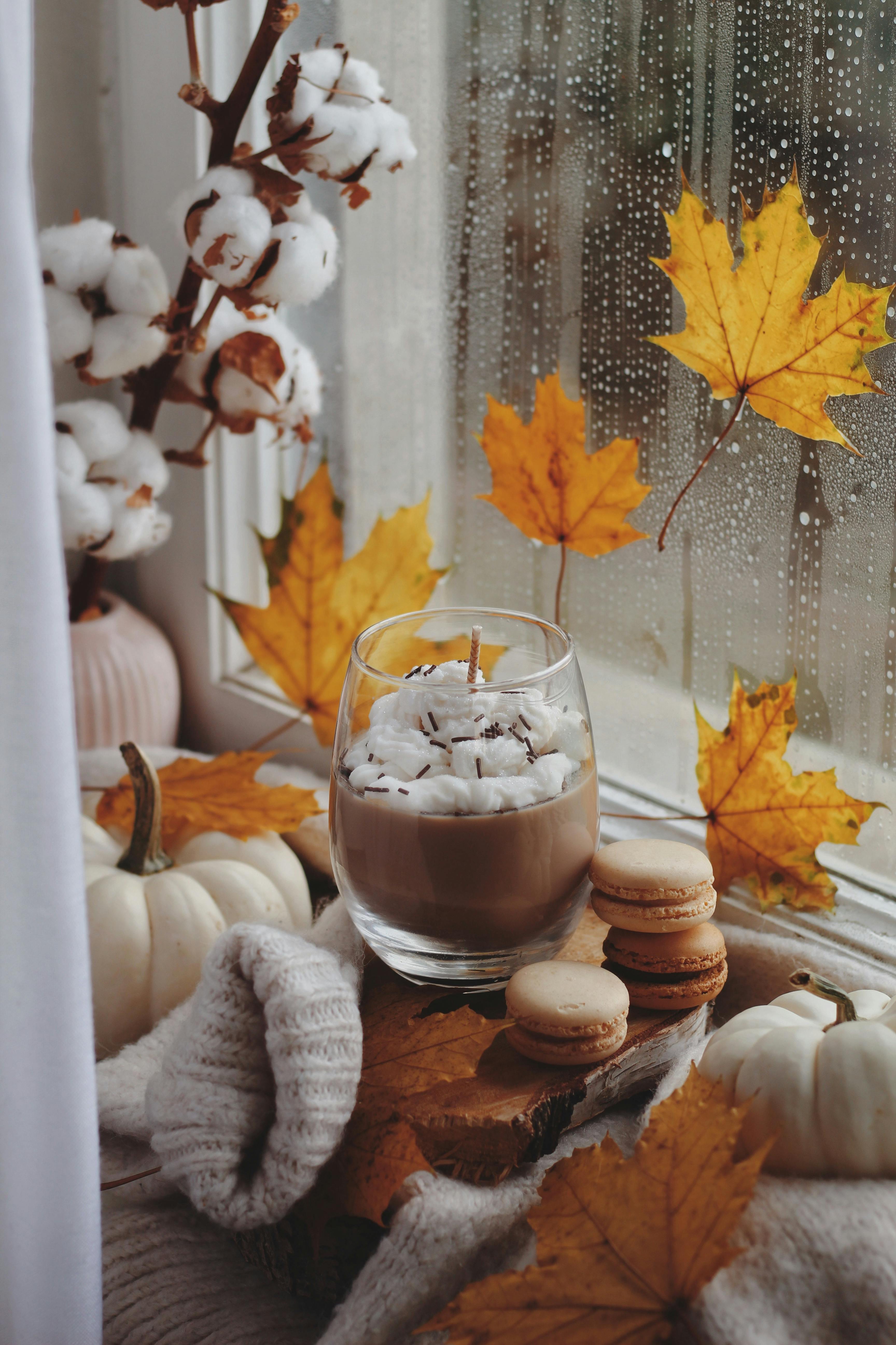 Warm autumn scene with coffee, macarons, and pumpkins by a rainy window.