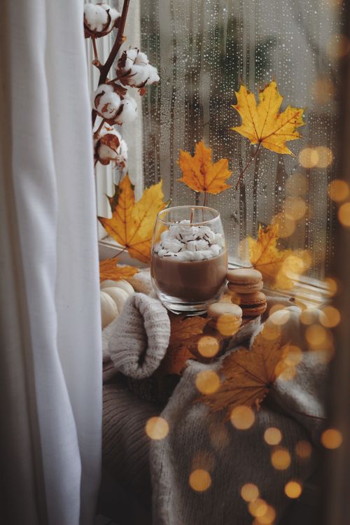 Free Warm autumn setting with hot chocolate, macaroons, and cotton branch on a rainy windowsill. Stock Photo
