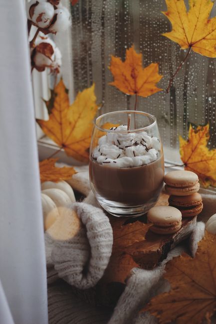 Warm autumn setup with hot chocolate topped with marshmallows, surrounded by leaves and macaroons.