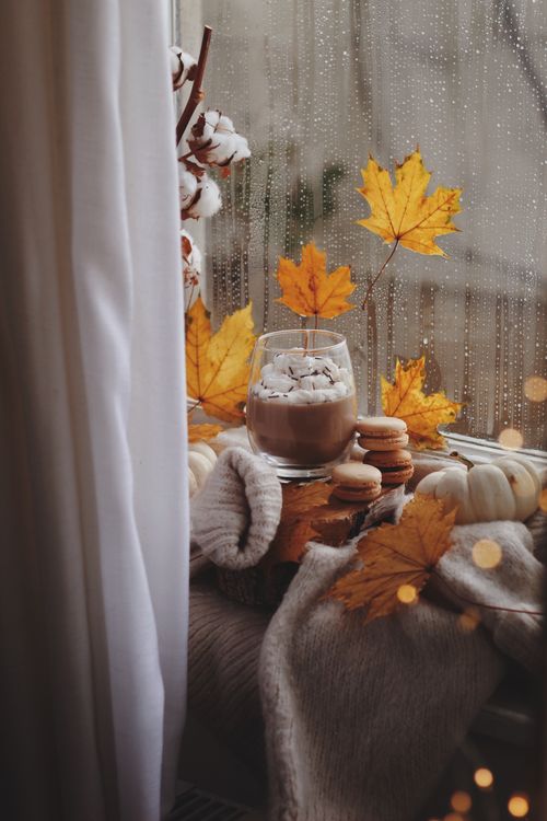 Free Warm autumn scene with dessert and decorations by a rainy window. Stock Photo