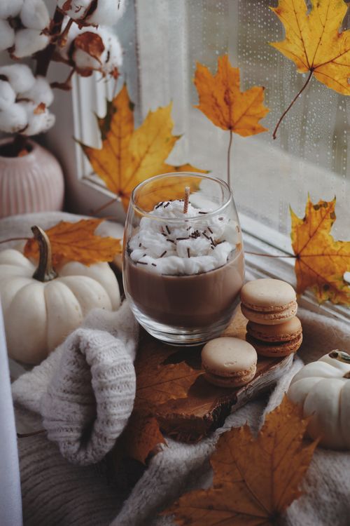 Free Warm autumn setting with cocoa, macarons, pumpkins, and leaves by a windowsill. Stock Photo