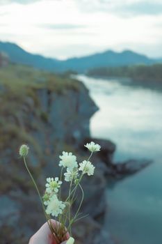 Tranquil scene of white wildflowers held over a calm riverside with a mountain backdrop.