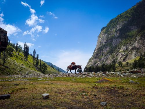 Free A horse carrying loads on a scenic mountain trail under a clear blue sky. Stock Photo