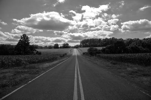 Grayscale Photo of Road Between Grass Field