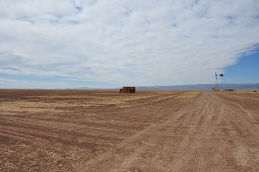 Rustic scene featuring a brown field, hay bales, and windmill under a blue sky. Capturing rural nature.