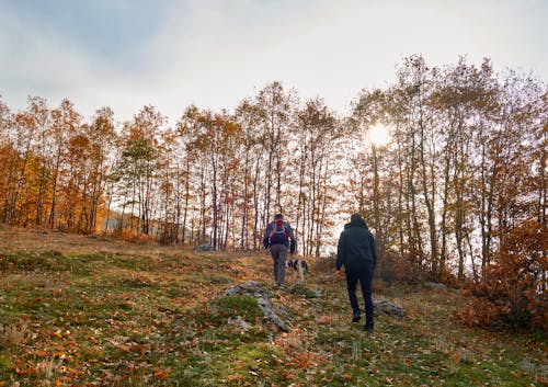 Back View of People Walking on Grass Surrounded by Trees