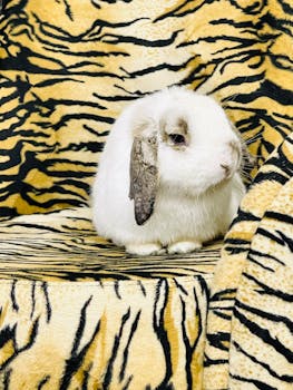 A cute white rabbit sits on a tiger print backdrop in a studio setting.