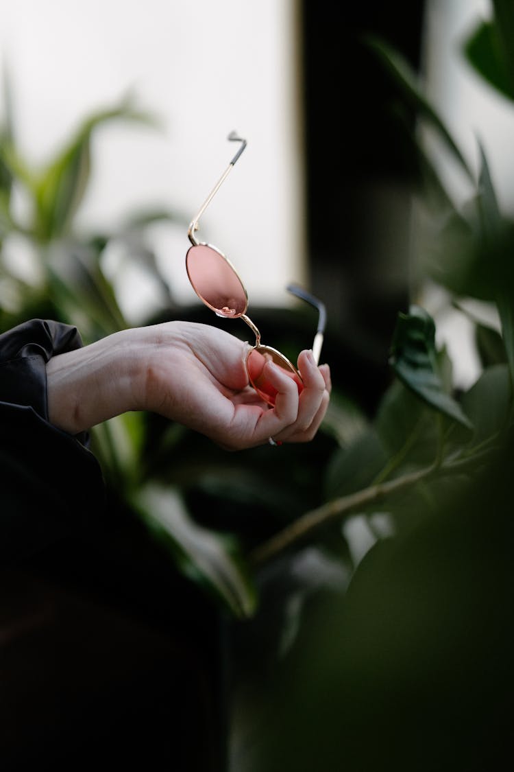 Eyeglasses In Woman Hand