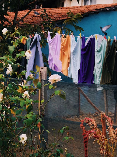 Clothes Hanging on a Clothes Line