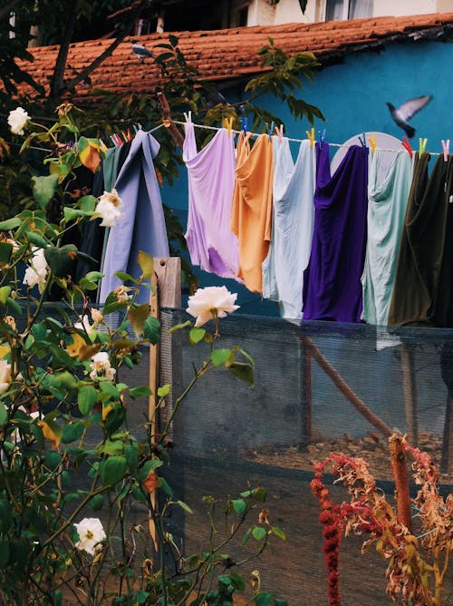 Photos gratuites de blanchisserie, corde à linge, épingles à linge