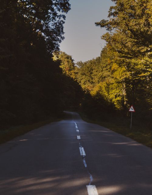 Free A serene road winding through lush trees at twilight, inviting exploration. Stock Photo