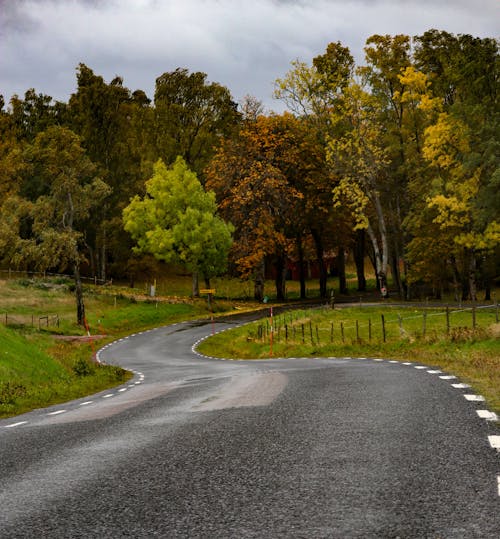 Fotobanka s bezplatnými fotkami na tému asfaltová cesta, jesenné stromy, krivkou cestou