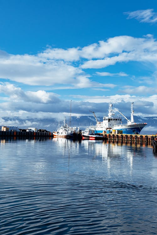 Бесплатное стоковое фото с вертикальный выстрел, гавань, грузовые корабли