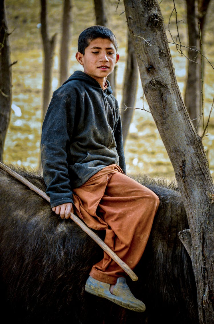 Kid Riding An Farm Animal