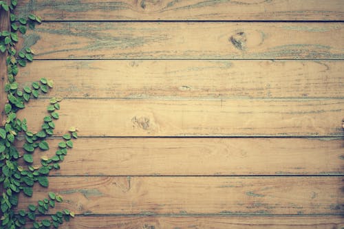 Brown Wooden Surface