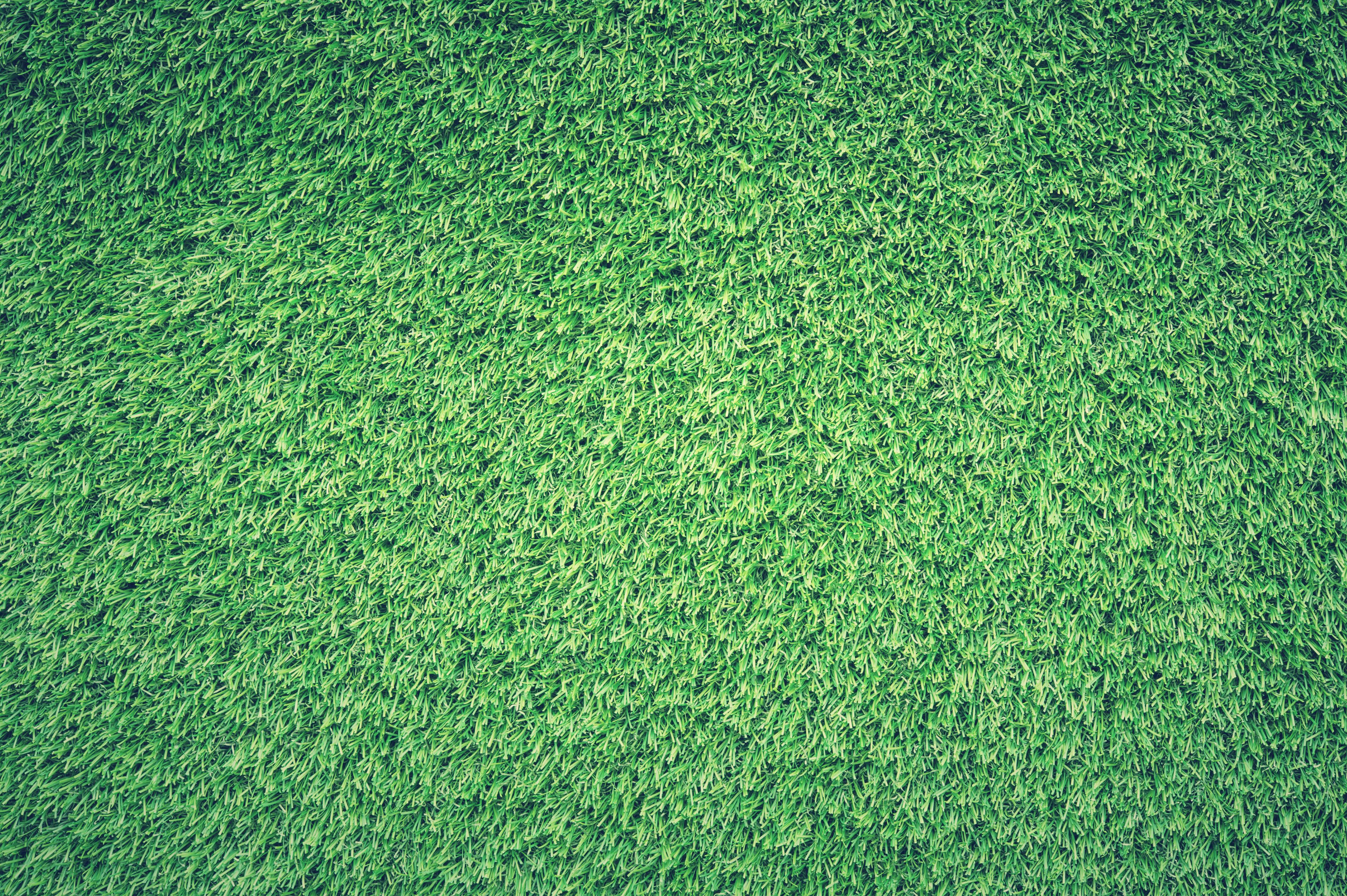 A green turf