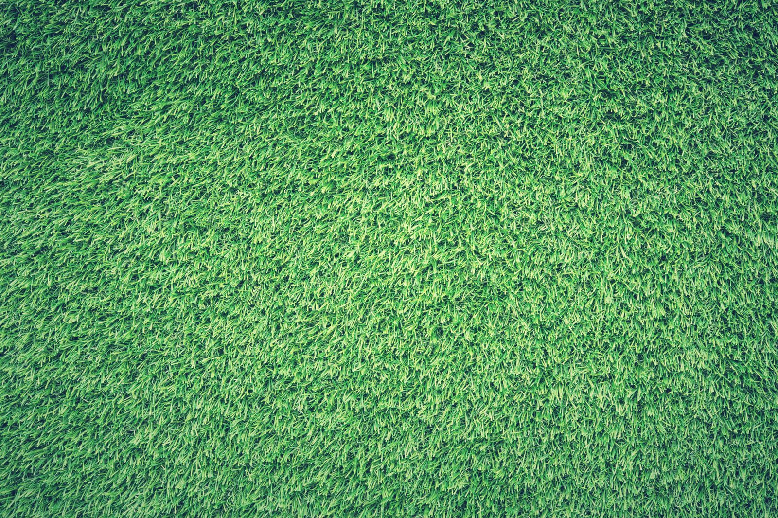 Beautiful green lawn Austin Texas