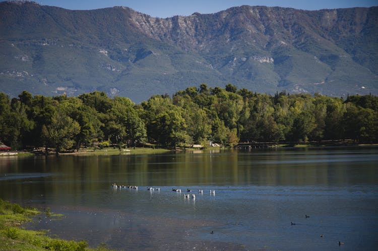 Lake Near Green Trees And Mountain