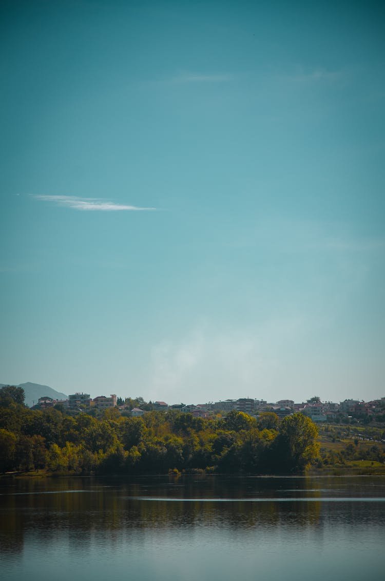 Green Trees Under Blue Sky