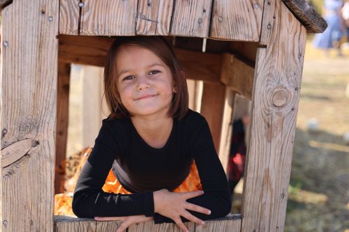 Free A cheerful child in a black sweater happily playing in a rustic wooden playhouse on a sunny day. Stock Photo
