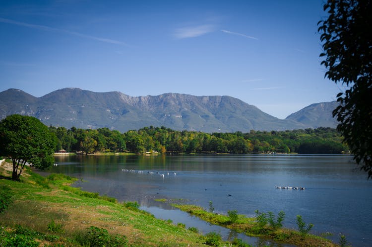 Lake Near Body Of Water