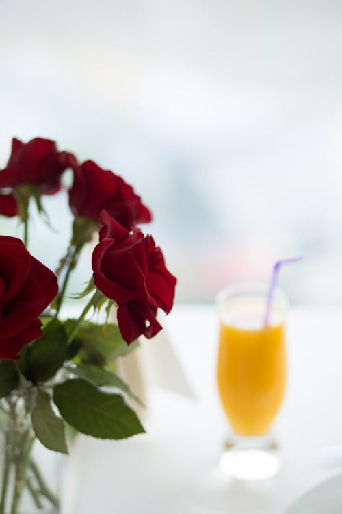Selective-focus Photo of Red Roses