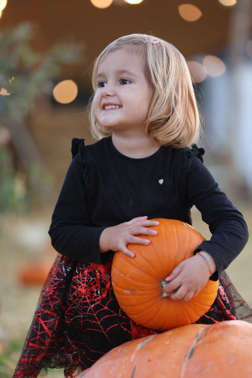 Free A cute young girl with a pumpkin in her hands, smiling happily in a festive fall setting. Stock Photo