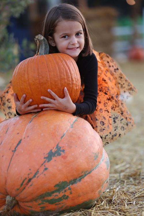 Free Adorable child poses with pumpkins, embracing autumn vibes in a festive scene. Stock Photo