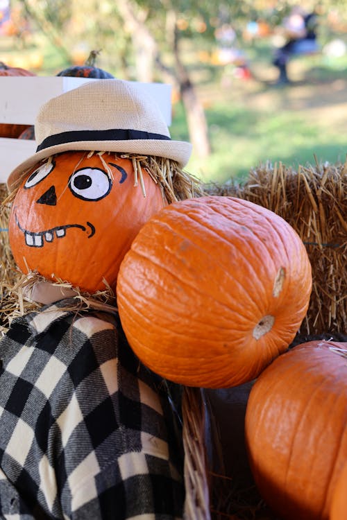 Pumpkin Figure Decoration