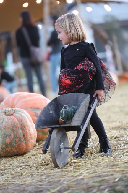 Illustrative stock photograph; not a verified image of the reported event or person