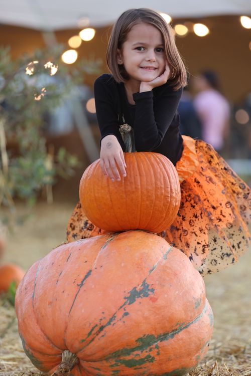 Free Young girl in festive Halloween attire posing with pumpkins, embodying fall spirit. Stock Photo