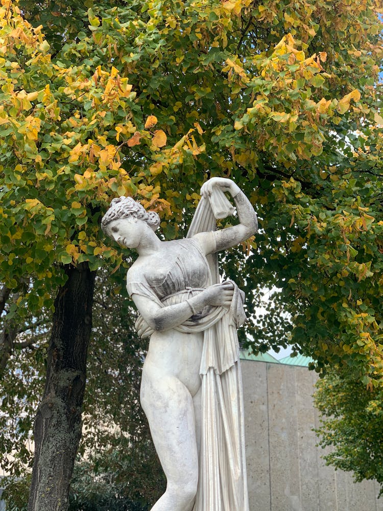 Marble Statue Under Autumn Tree