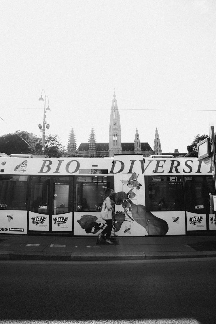 Walking Woman And A Public Urban Tram