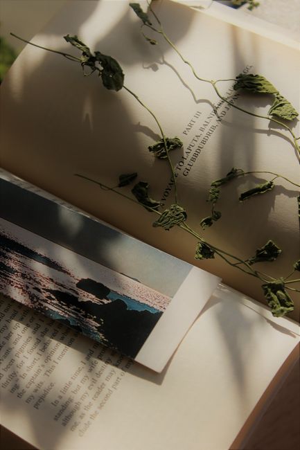 Open book displaying dried leaves and a bookmark, in soft sunlight.
