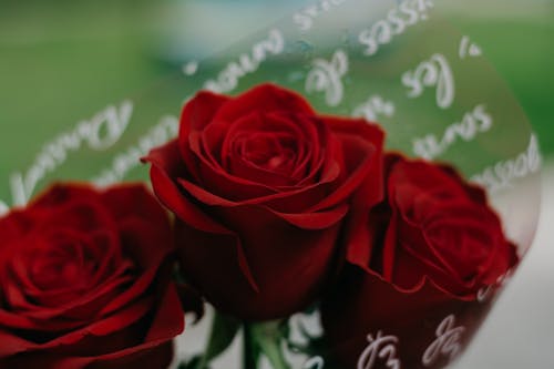 gratis Drie Rode Bloemen Stockfoto