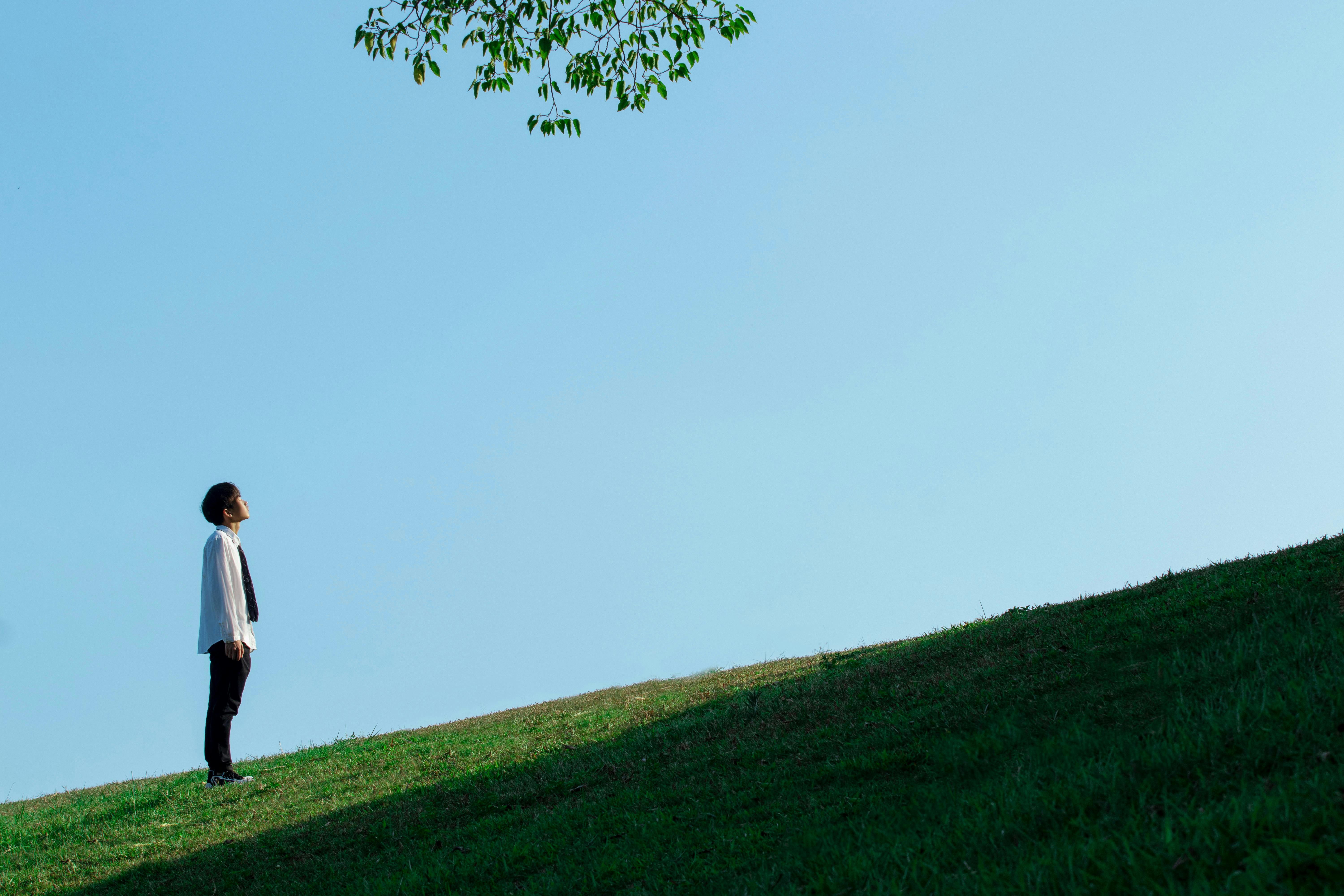 Photo by 发霉的茄子 茄子