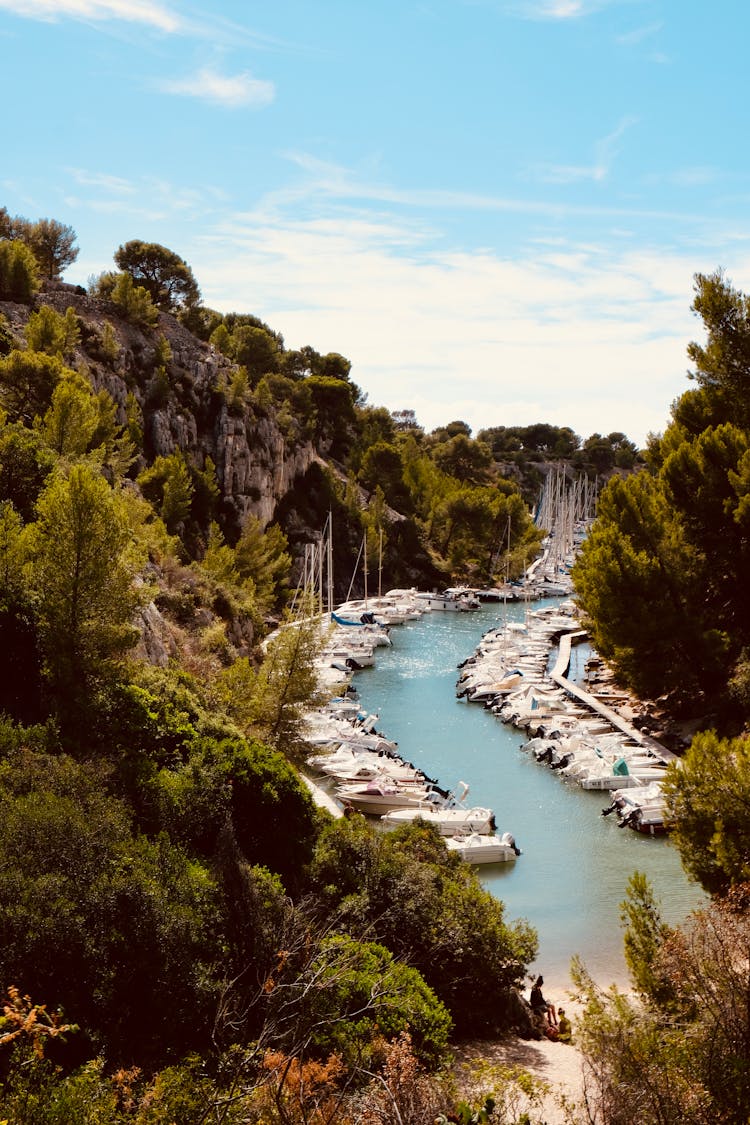 White Boats Parked At The River Surrounded By Trees 