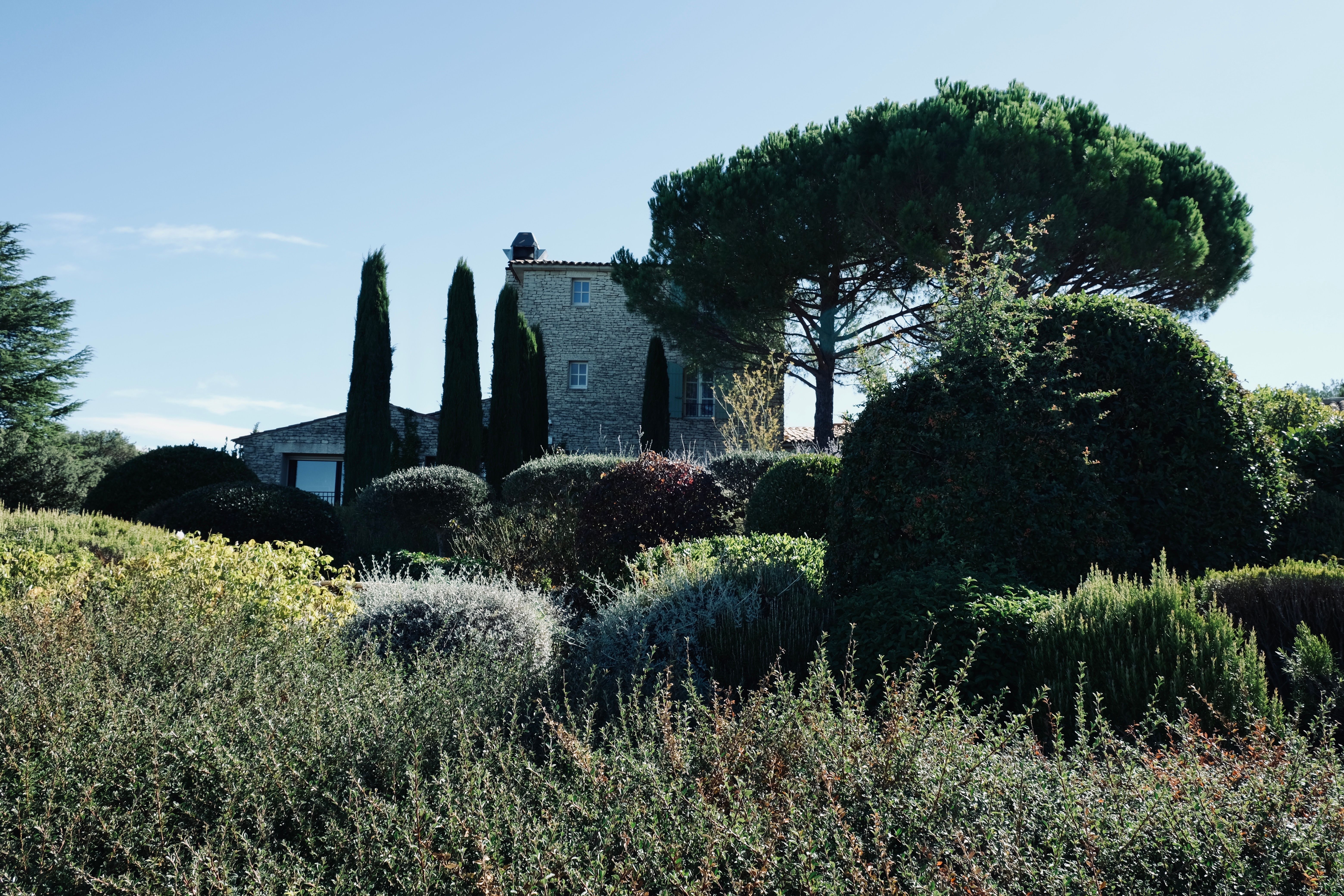 Maison proven&ccedil;ale avec jardin - P&eacute;rigourdin