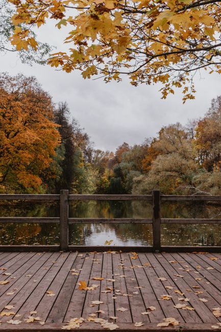 Serene autumn landscape featuring a wooden dock overlooking a lake surrounded by colorful trees.