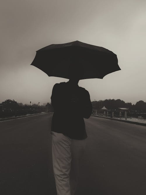 Back View of a Person with an Umbrella