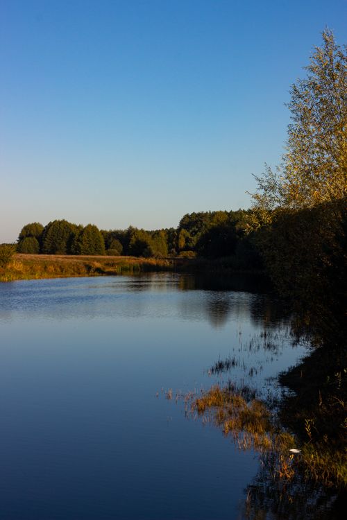 Free A tranquil scene featuring a calm river, lush greenery, and a clear blue sky, perfect for nature lovers. Stock Photo