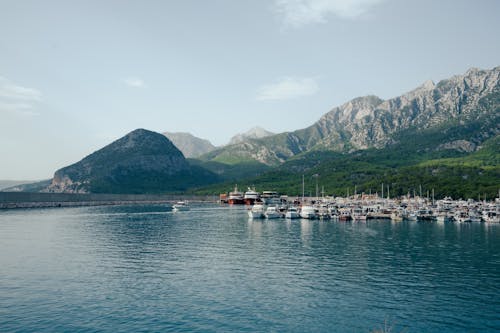 бесплатная Бесплатное стоковое фото с вода, гавань, горы Стоковое фото