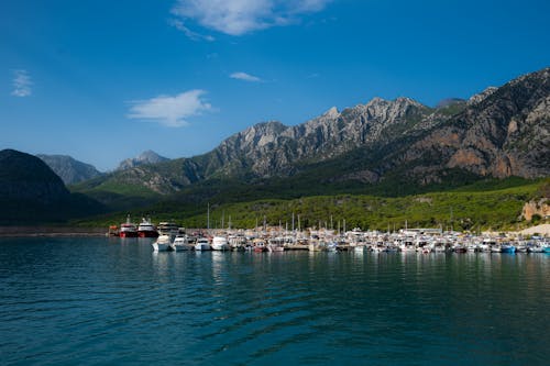 бесплатная Бесплатное стоковое фото с вода, гавань, горы Стоковое фото