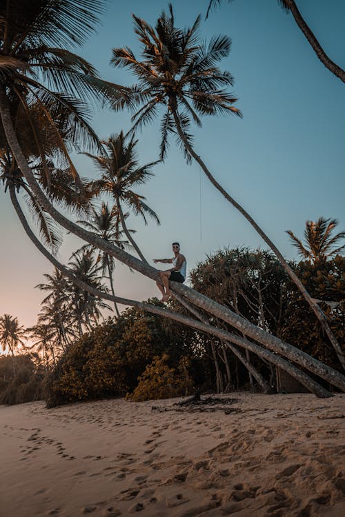 Photo of Man Sitting on Tree Trunk