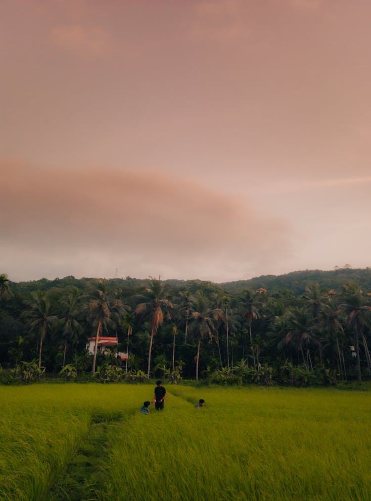 People In The Farm