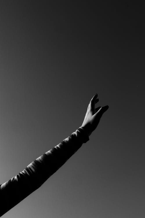 Darmowe zdjęcie z galerii z czarno-biały, monochromatyczny, pionowy strzał
