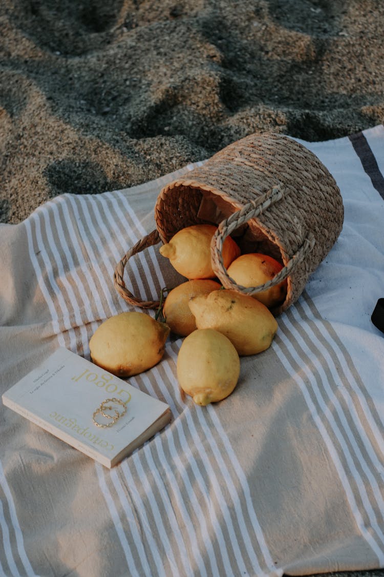 Book And Fruit On Blanket