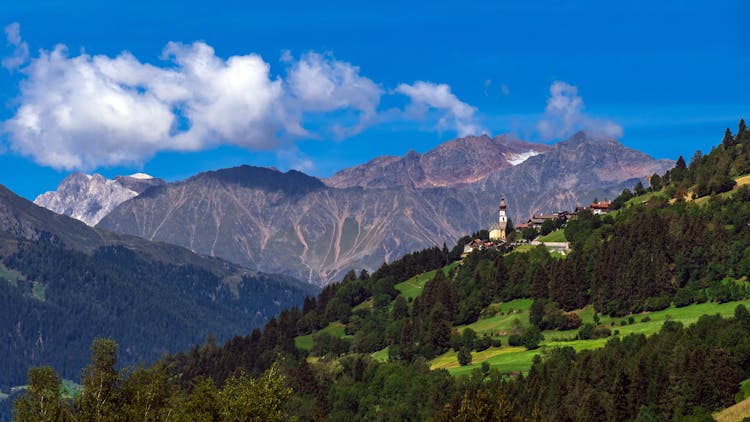 Green Grass And Trees Near The Rock Mountains 