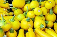 Squash Images