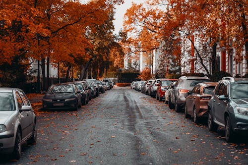 Základová fotografie zdarma na téma auta, automobilový průmysl, chodník